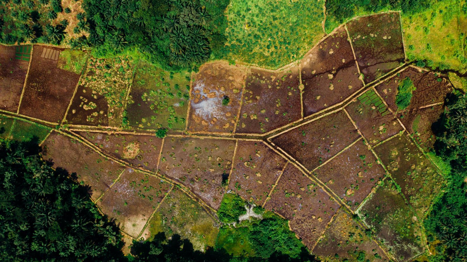 Terrain viabilisé de 600 m² à Bingerville