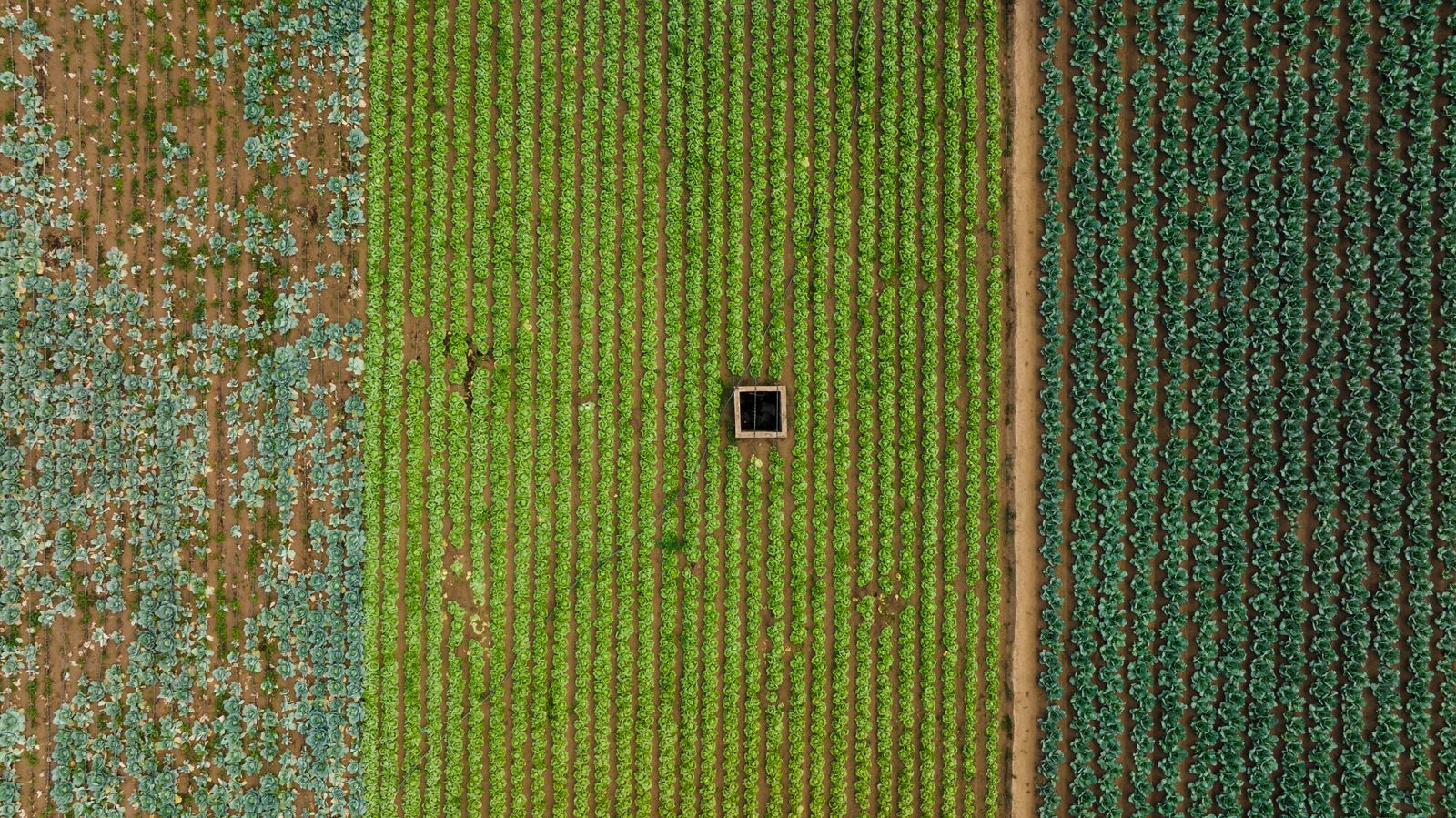 Terrain 800 m² à Habitat Extension